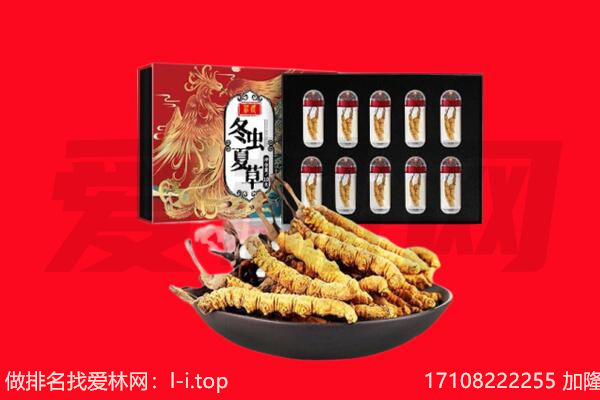 大柴旦冬虫夏草回收