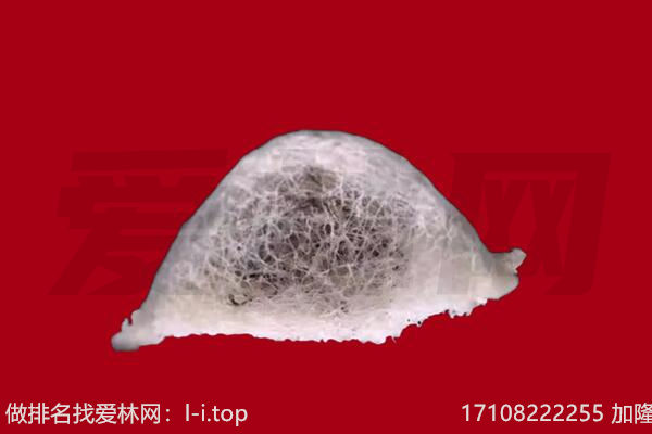大柴旦燕窝回收